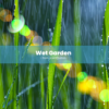 Wet Garden